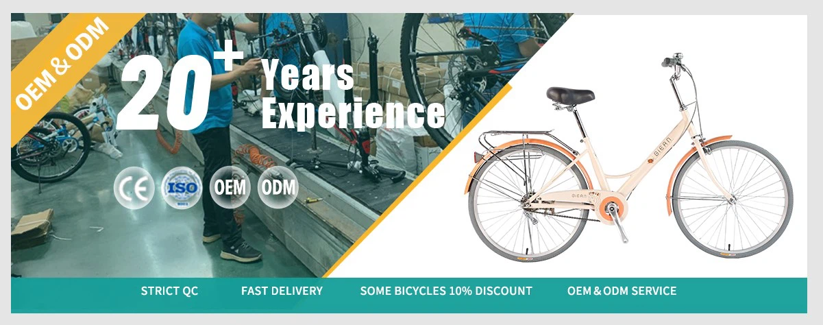 city travel bike city travel bike